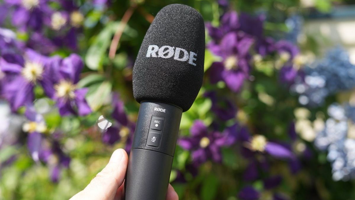 Hand holding a black Rde microphone in a garden with blurred purple flowers in the background.